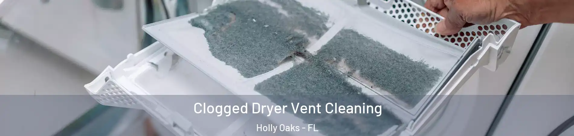 Clogged Dryer Vent Cleaning Holly Oaks - FL