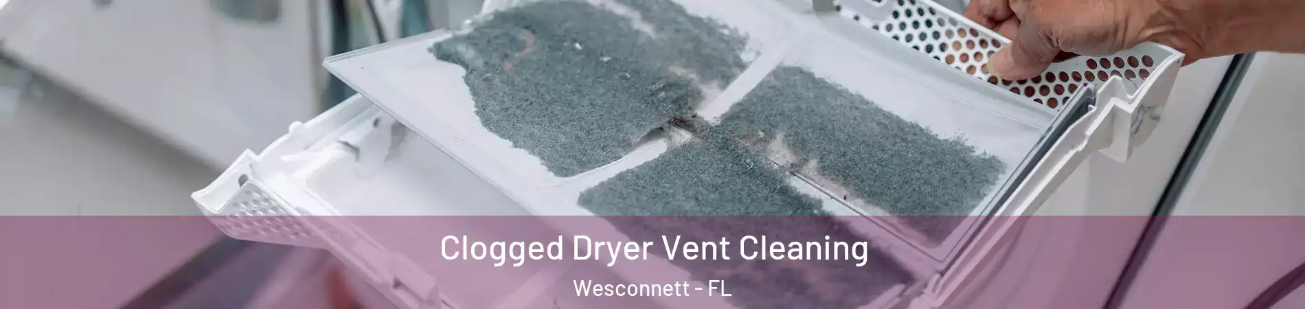Clogged Dryer Vent Cleaning Wesconnett - FL