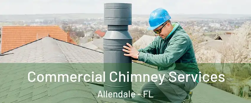 Commercial Chimney Services Allendale - FL
