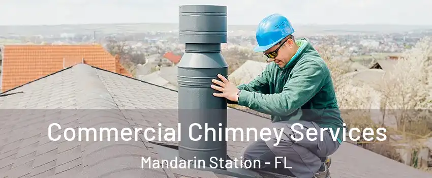 Commercial Chimney Services Mandarin Station - FL