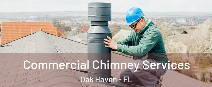 Commercial Chimney Services Oak Haven - FL