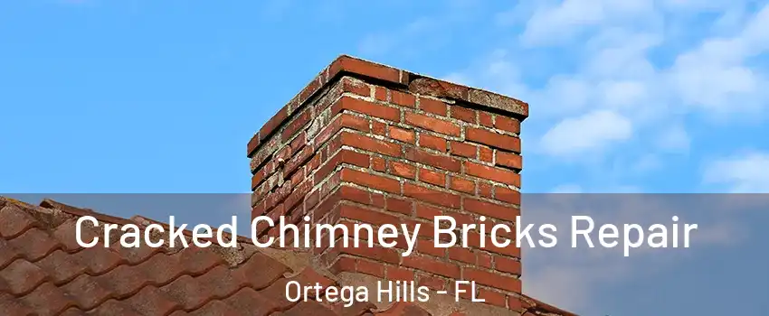 Cracked Chimney Bricks Repair Ortega Hills - FL