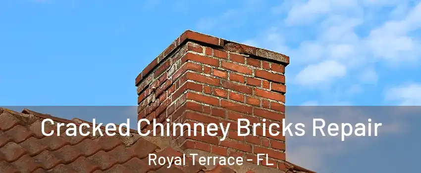 Cracked Chimney Bricks Repair Royal Terrace - FL
