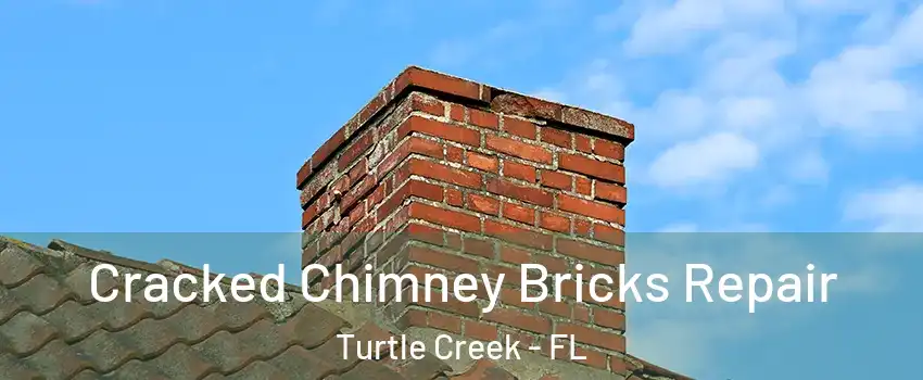 Cracked Chimney Bricks Repair Turtle Creek - FL