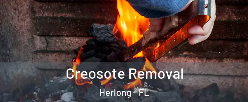 Creosote Removal Herlong - FL