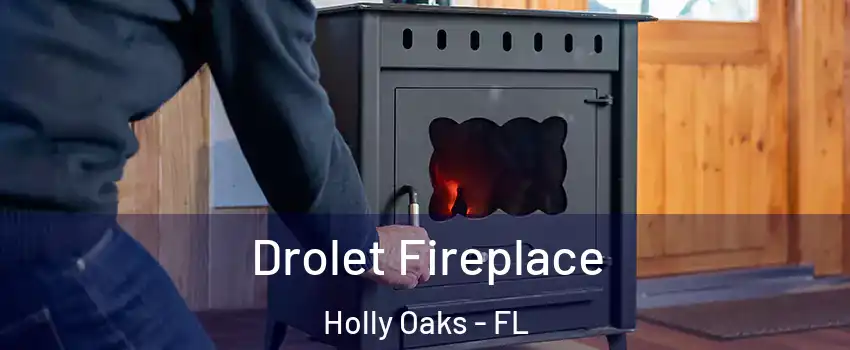 Drolet Fireplace Holly Oaks - FL