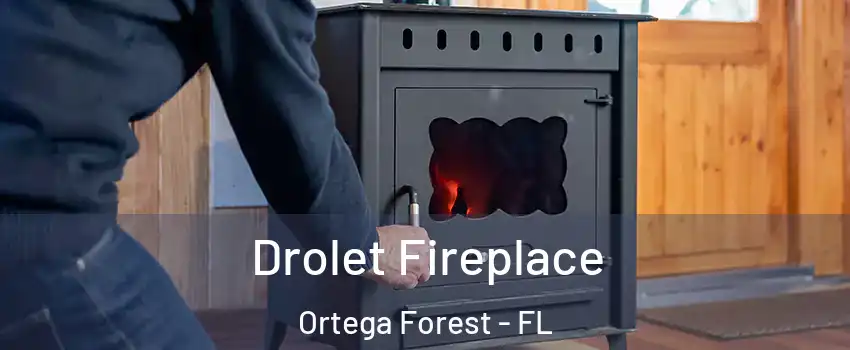 Drolet Fireplace Ortega Forest - FL