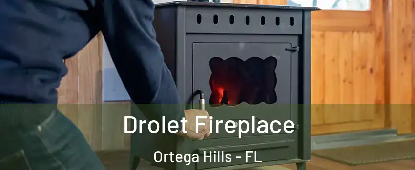 Drolet Fireplace Ortega Hills - FL