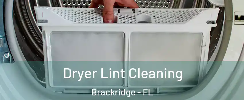 Dryer Lint Cleaning Brackridge - FL