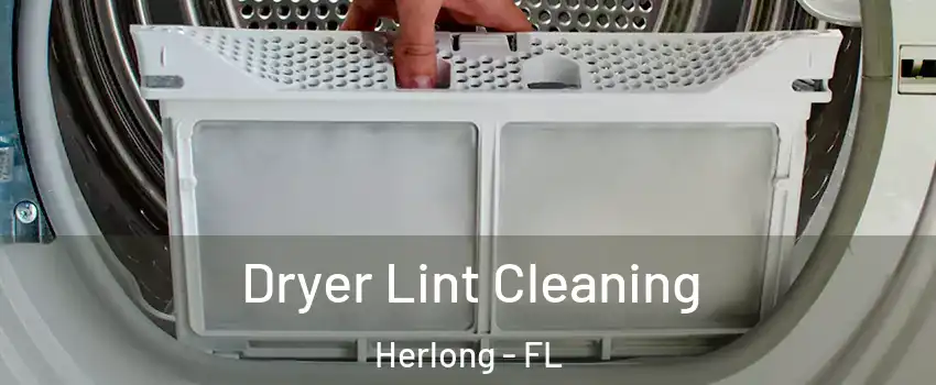 Dryer Lint Cleaning Herlong - FL