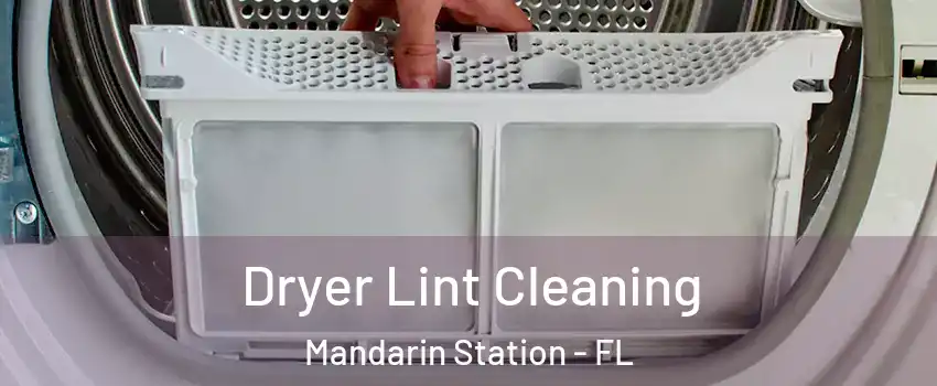 Dryer Lint Cleaning Mandarin Station - FL