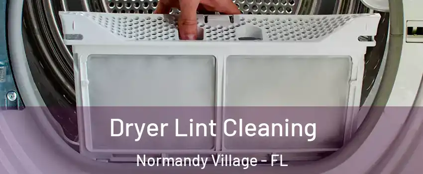 Dryer Lint Cleaning Normandy Village - FL