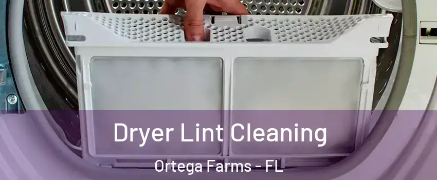 Dryer Lint Cleaning Ortega Farms - FL