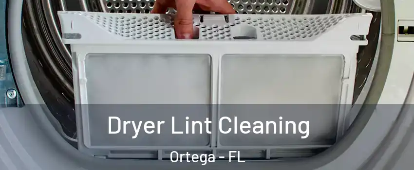 Dryer Lint Cleaning Ortega - FL