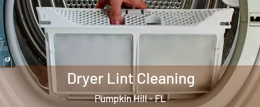 Dryer Lint Cleaning Pumpkin Hill - FL