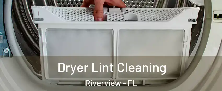 Dryer Lint Cleaning Riverview - FL