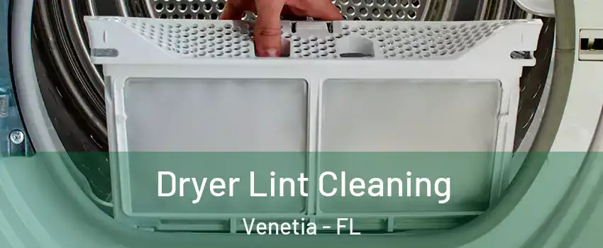 Dryer Lint Cleaning Venetia - FL
