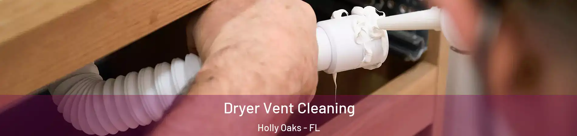 Dryer Vent Cleaning Holly Oaks - FL