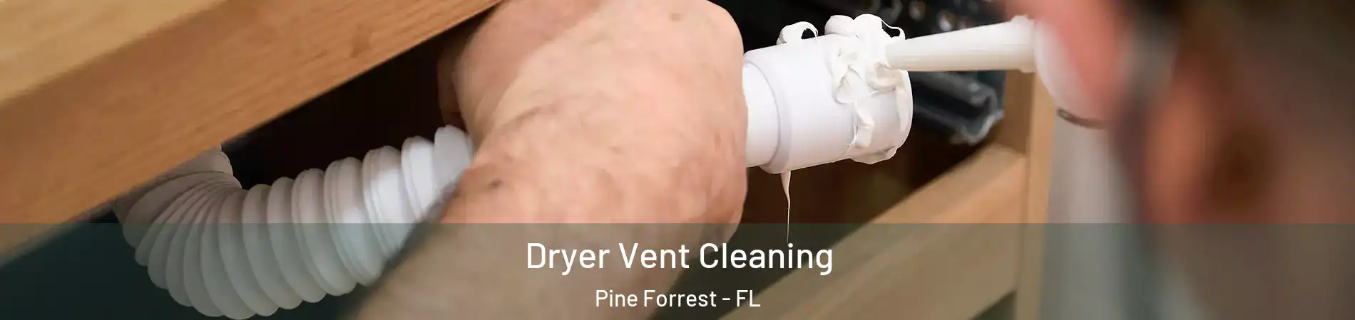 Dryer Vent Cleaning Pine Forrest - FL