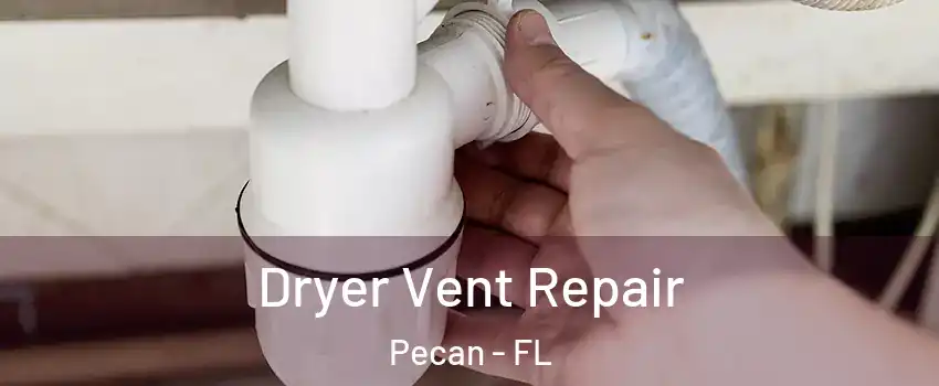 Dryer Vent Repair Pecan - FL