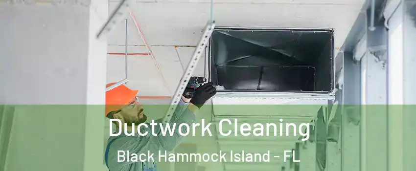 Ductwork Cleaning Black Hammock Island - FL