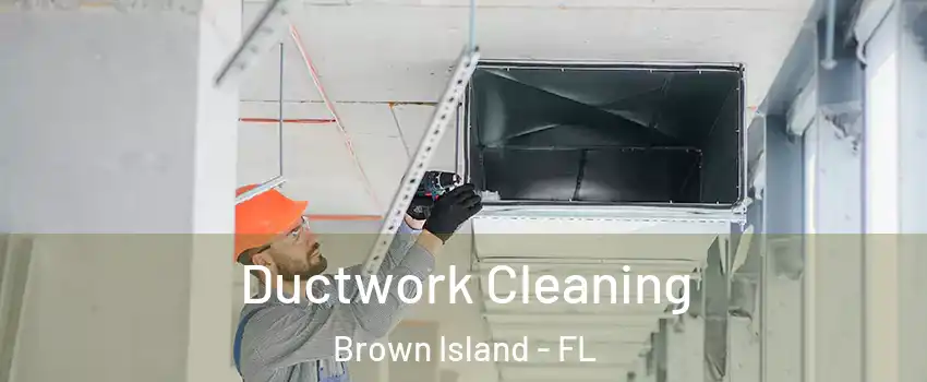 Ductwork Cleaning Brown Island - FL