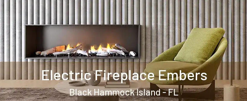 Electric Fireplace Embers Black Hammock Island - FL