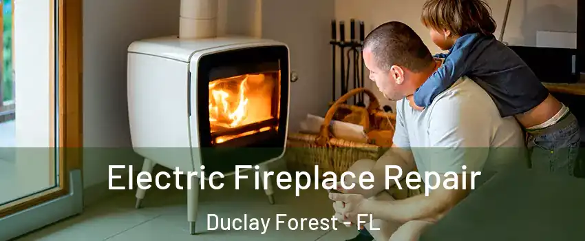 Electric Fireplace Repair Duclay Forest - FL