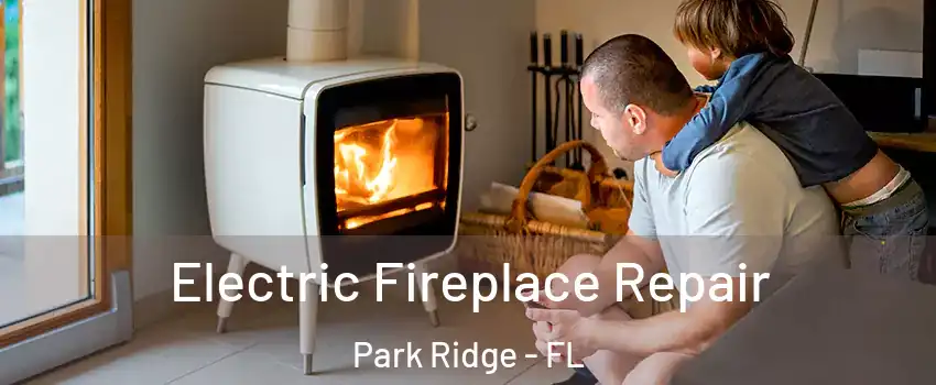 Electric Fireplace Repair Park Ridge - FL