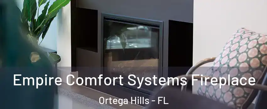 Empire Comfort Systems Fireplace Ortega Hills - FL