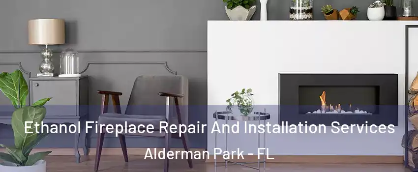 Ethanol Fireplace Repair And Installation Services Alderman Park - FL