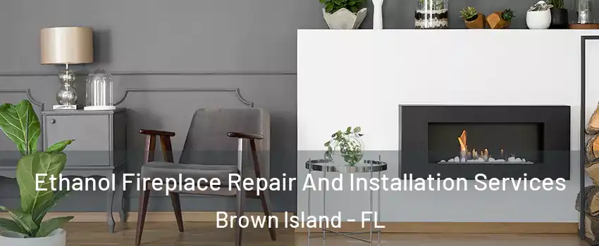 Ethanol Fireplace Repair And Installation Services Brown Island - FL