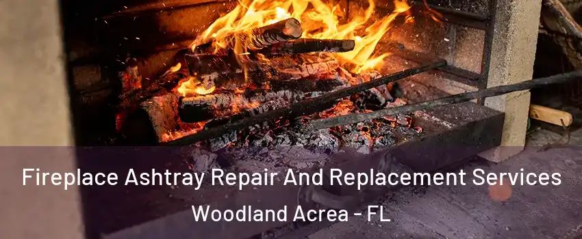 Fireplace Ashtray Repair And Replacement Services Woodland Acrea - FL