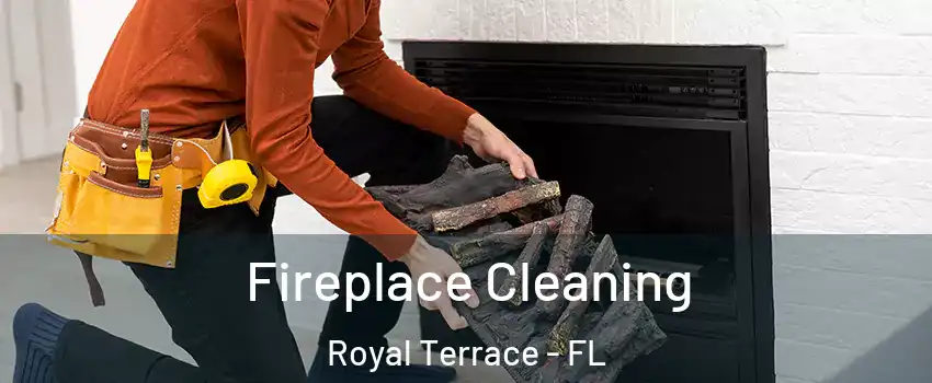 Fireplace Cleaning Royal Terrace - FL