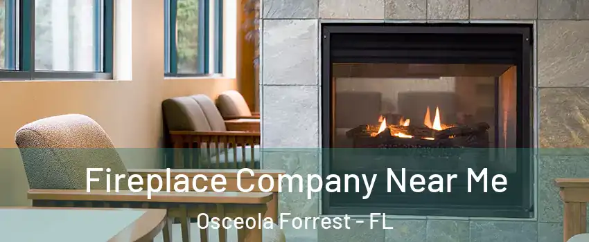 Fireplace Company Near Me Osceola Forrest - FL
