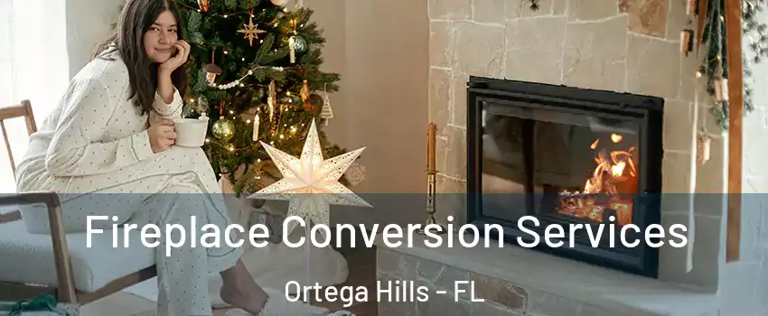Fireplace Conversion Services Ortega Hills - FL