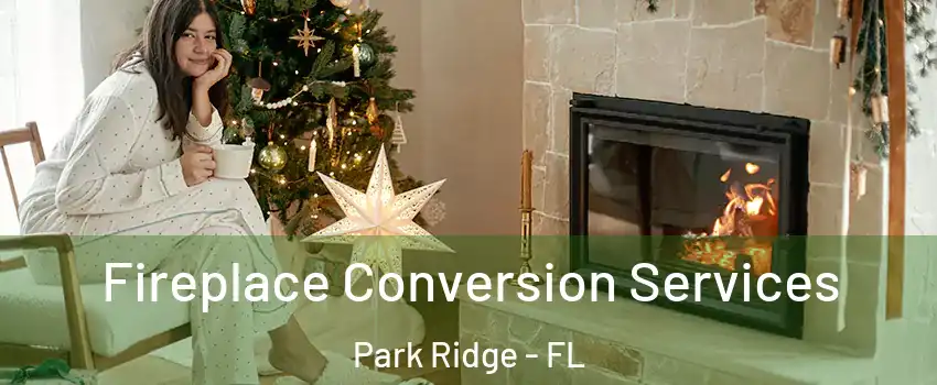 Fireplace Conversion Services Park Ridge - FL