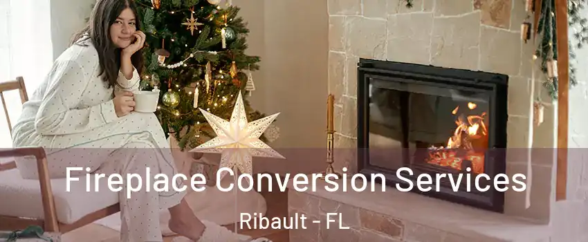 Fireplace Conversion Services Ribault - FL
