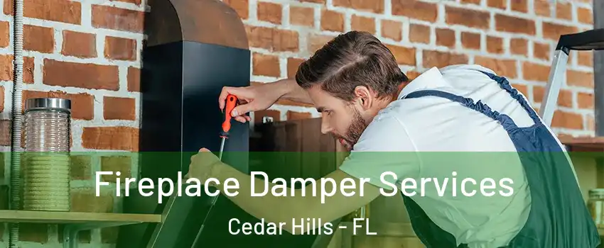 Fireplace Damper Services Cedar Hills - FL