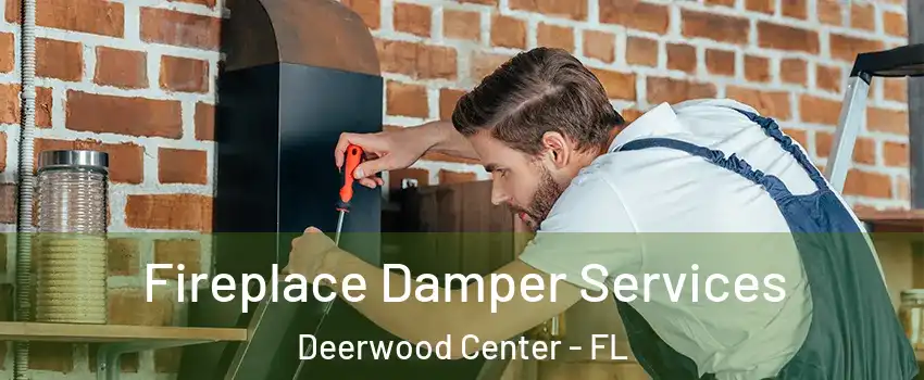 Fireplace Damper Services Deerwood Center - FL