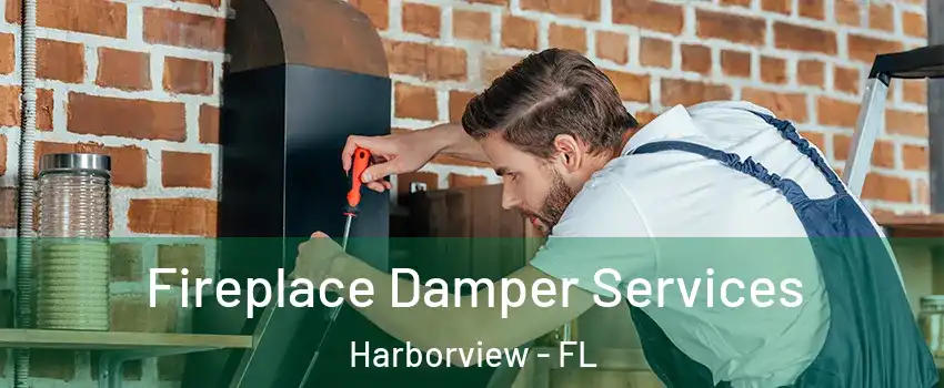 Fireplace Damper Services Harborview - FL
