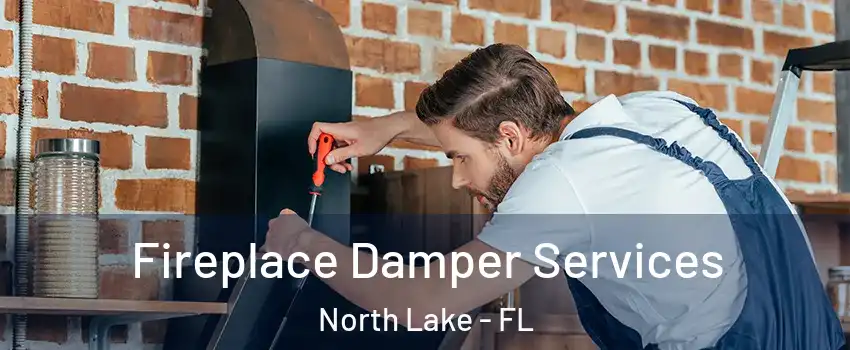 Fireplace Damper Services North Lake - FL