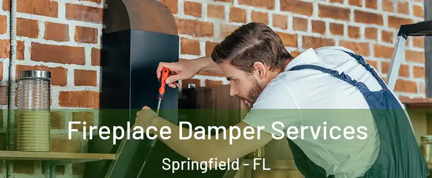 Fireplace Damper Services Springfield - FL