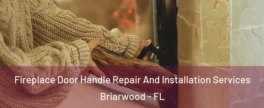 Fireplace Door Handle Repair And Installation Services Briarwood - FL