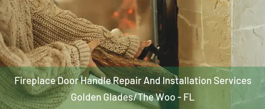 Fireplace Door Handle Repair And Installation Services Golden Glades/The Woo - FL