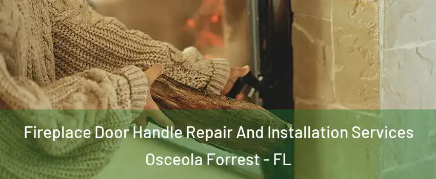 Fireplace Door Handle Repair And Installation Services Osceola Forrest - FL