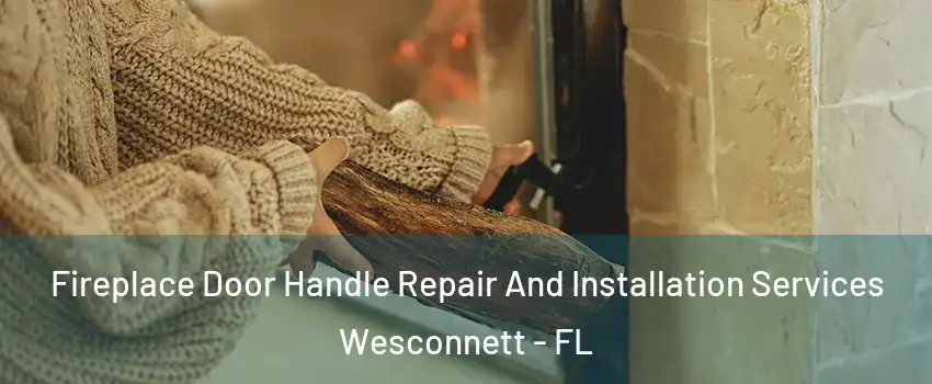 Fireplace Door Handle Repair And Installation Services Wesconnett - FL