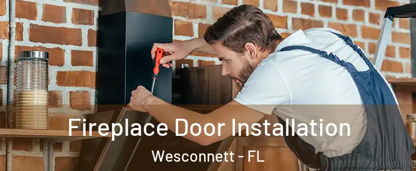 Fireplace Door Installation Wesconnett - FL