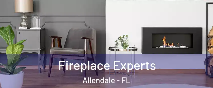 Fireplace Experts Allendale - FL