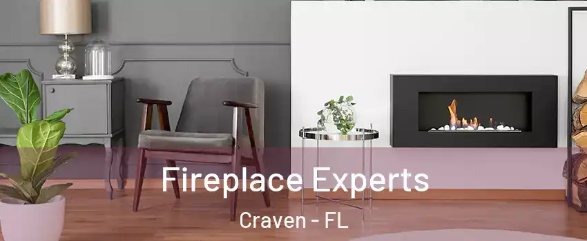 Fireplace Experts Craven - FL